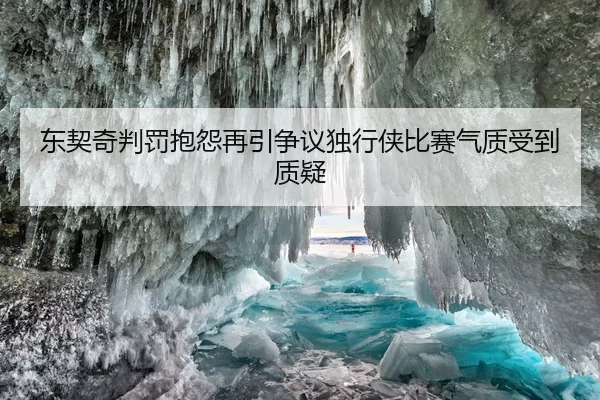 东契奇判罚抱怨再引争议独行侠比赛气质受到质疑