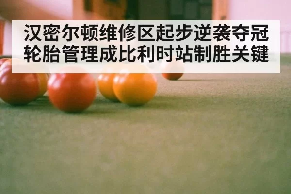 汉密尔顿维修区起步逆袭夺冠 轮胎管理成比利时站制胜关键