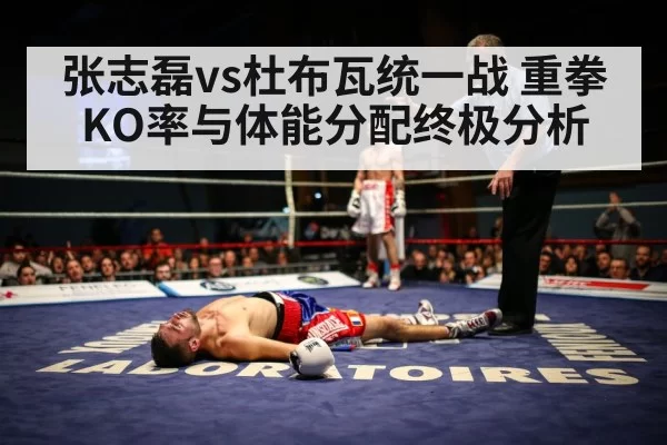 张志磊vs杜布瓦统一战 重拳KO率与体能分配终极分析